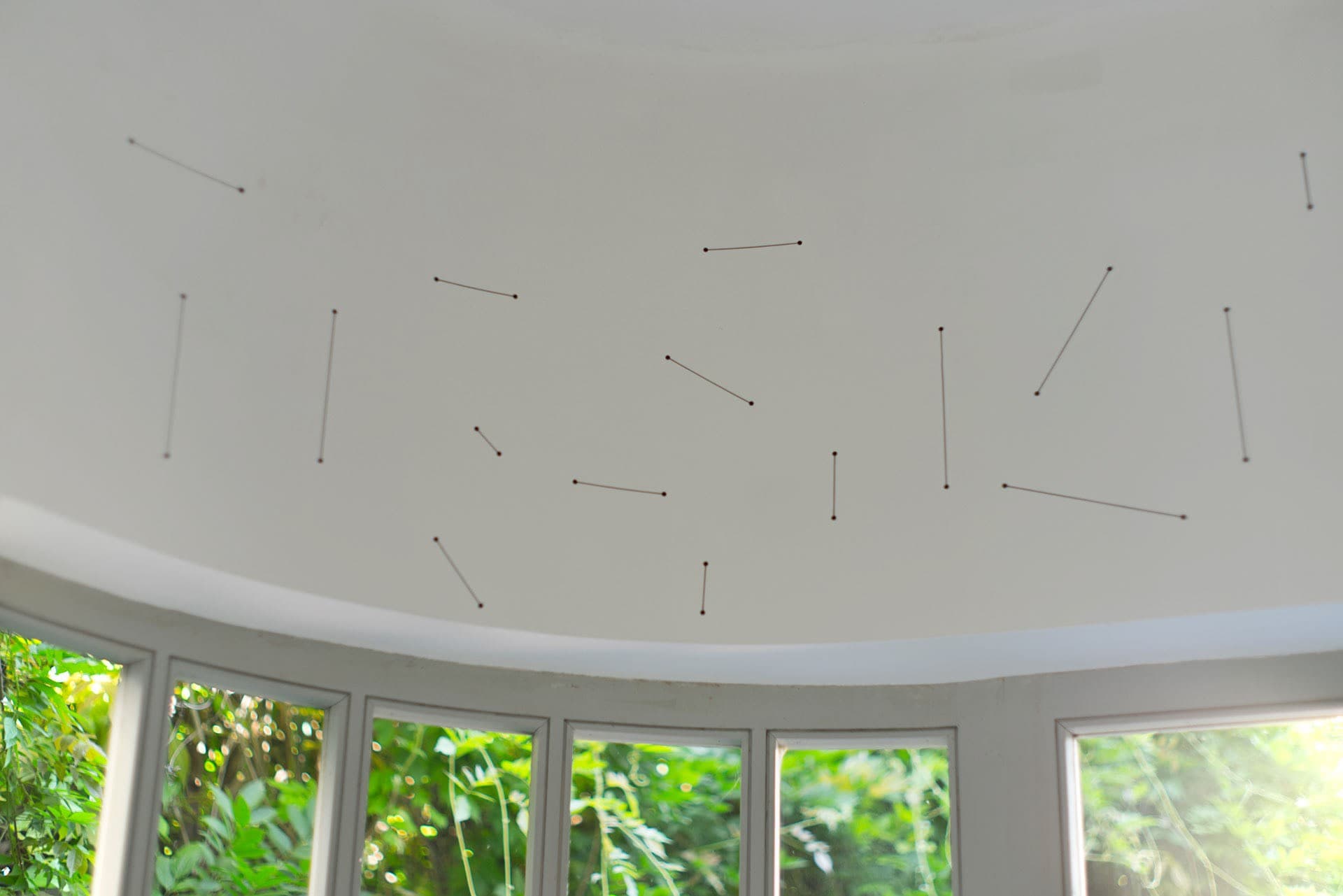 From a Tummy to the Sky — via a Mouth 14